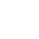 dvis digital video inspections 01.png